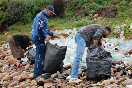 حملات تنظيف وتزيين في غرب الجزائر(الترا صوت)