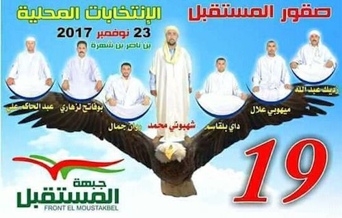 ملصقات حزبية للانتخابات البلدية القادمة في الجزائر (فيسبوك)