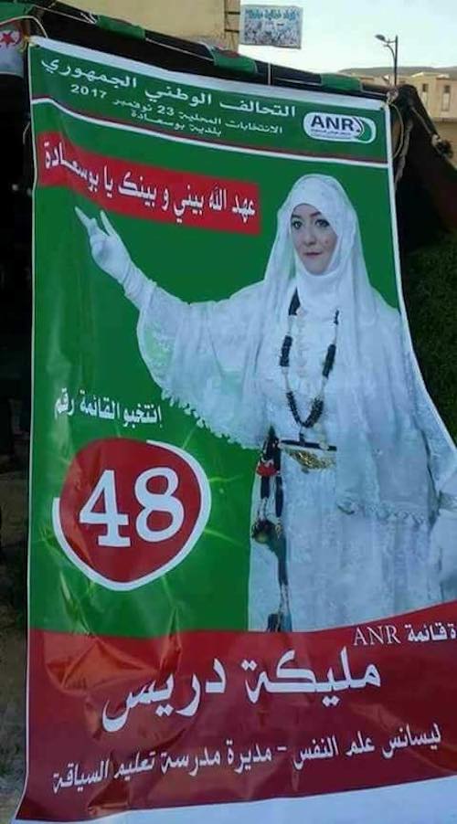 ملصقات حزبية للانتخابات البلدية القادمة في الجزائر (فيسبوك)