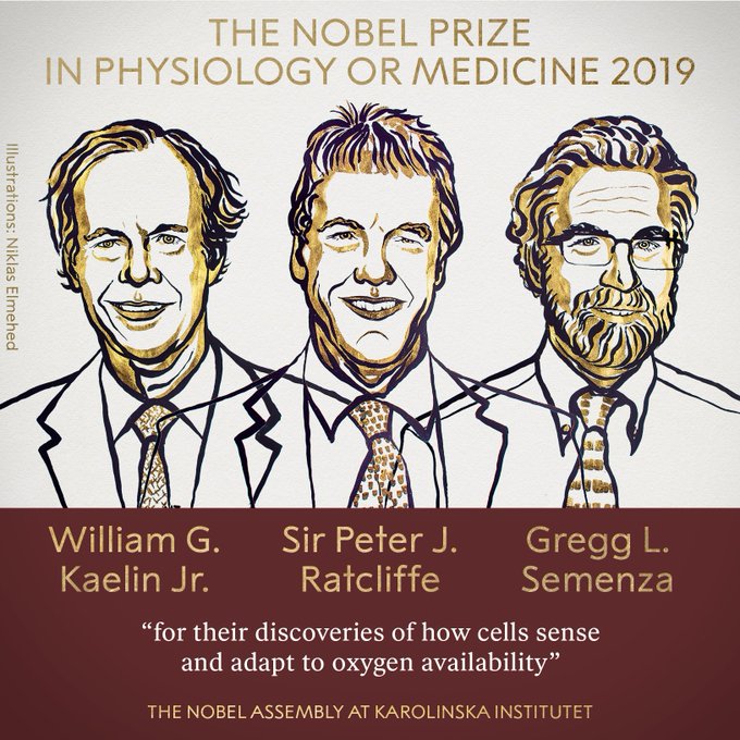 نوبل في الطب 2019