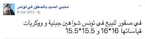 عروض بيع صقر الشاهين على مواقع التواصل الاجتماعي