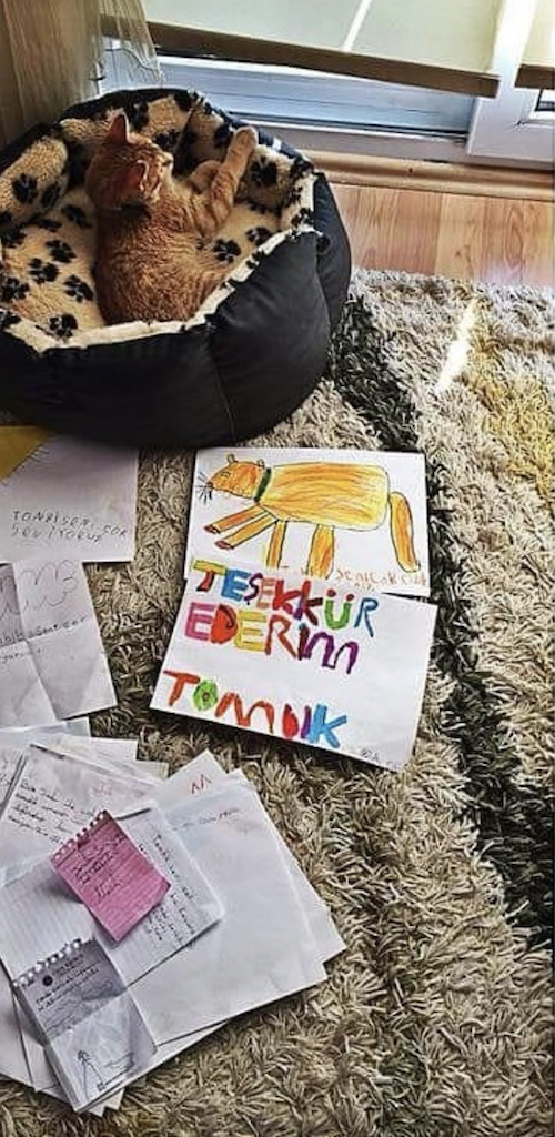 رسائل للقط تومبي (Özlem Pınar Ivaşcu)