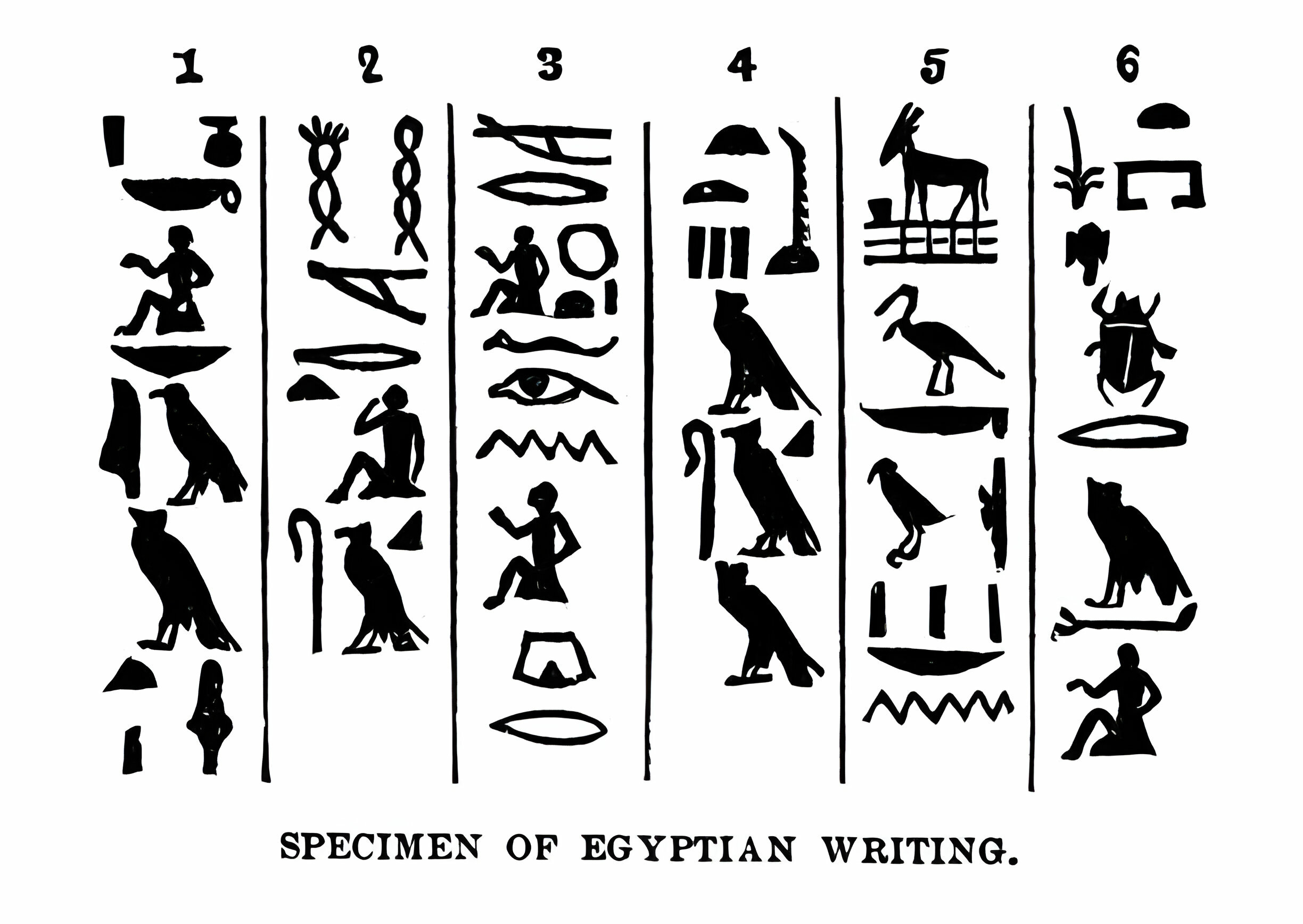 صورة لرموز فرعونية في مصر القديمة