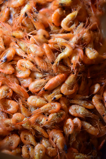 Chinese Caridean shrimps