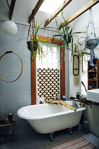 Interior of bathroom with plants hanging from ceiling 