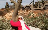 تمارس إسرائيل سياسة الغسيل الأخضر (Getty)