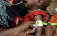 المجاعة في السودان