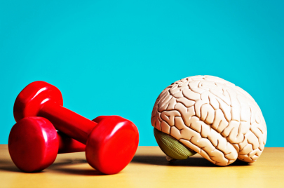 Exercise keeps body and mind fit: model brain with barbells