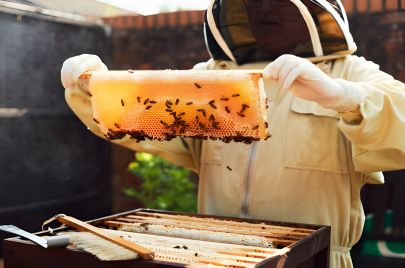 أفضل أنواع العسل والصفات المميزة