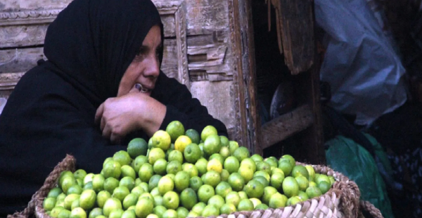 أزمة ارتفاع مستمر للأسعار في مصر (الجزيرة)