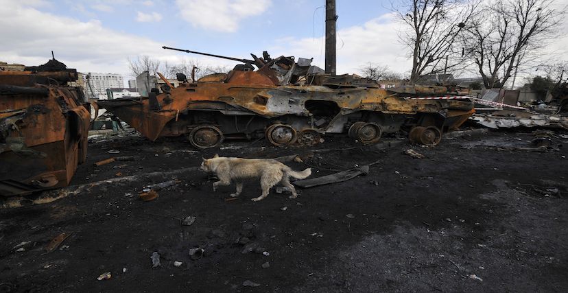  (Getty) كلب يتجول بين معدات عسكرية روسية مدمرة في مدينة بوتشا شباط/فبراير 2022