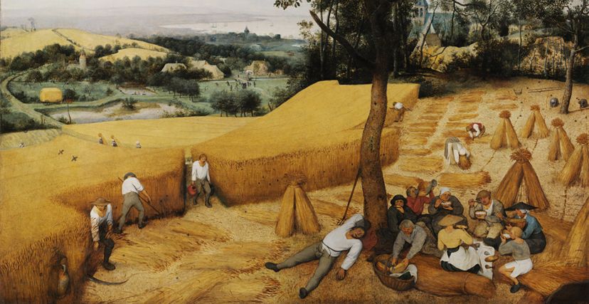 لوحة الحصاد للرسام الهولندي بيتر بروغل الأكبر