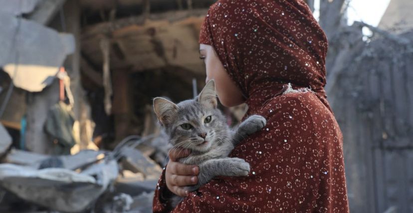 فتاة فلسطينية تحمل قطة وسط أنقاض المباني التي دمّرتها الغارات الإسرائيلية