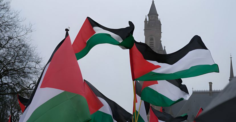 مظاهرة تضامنية مع فلسطين أمام محكمة العدل الدولية