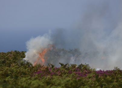 bush fire near Zennor, Cornwall, Britain