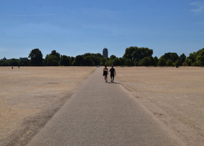 A couple walk in a parched Hyde Park on a scorching day as...